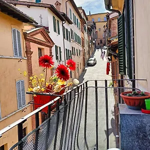 La Campanina-nel Cuore Di E Della Contrada Siena